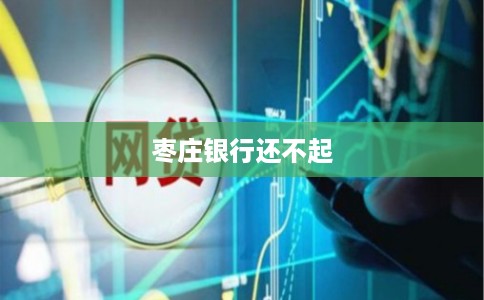 枣庄银行还不起