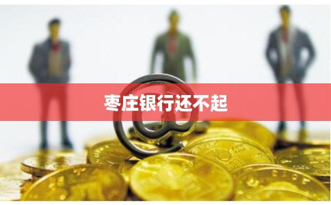 枣庄银行还不起