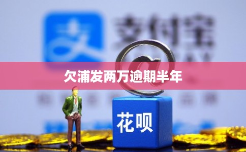 欠浦发两万逾期半年