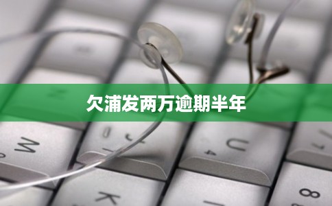 欠浦发两万逾期半年