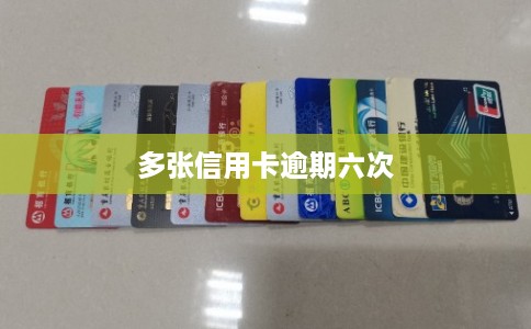多张信用卡逾期六次