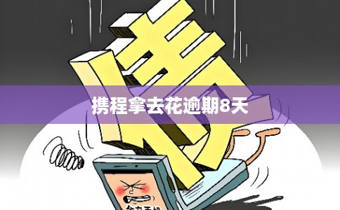携程拿去花逾期8天
