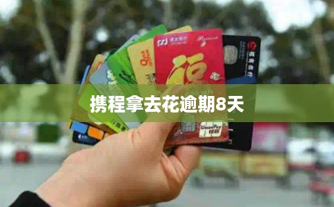 携程拿去花逾期8天