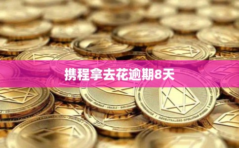 携程拿去花逾期8天