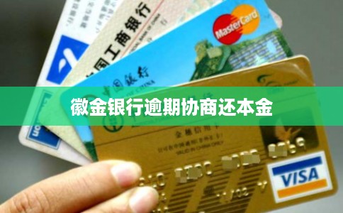 徽金银行逾期协商还本金