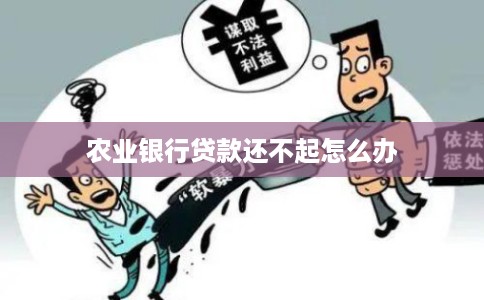 农业银行贷款还不起怎么办