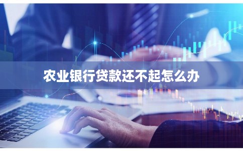 农业银行贷款还不起怎么办