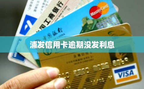 浦发信用卡逾期没发利息