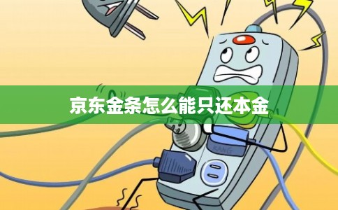 京东金条怎么能只还本金