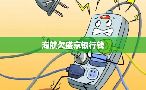 海航欠盛京银行钱