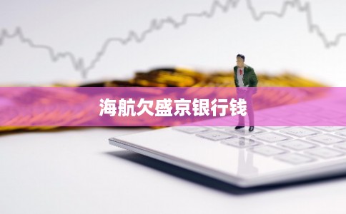 海航欠盛京银行钱