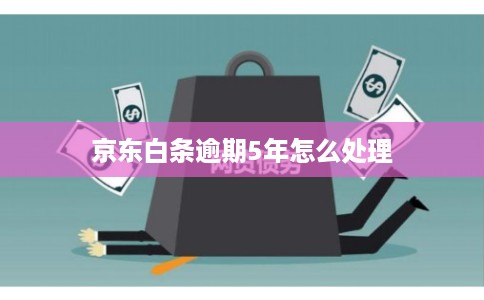 京东白条逾期5年怎么处理