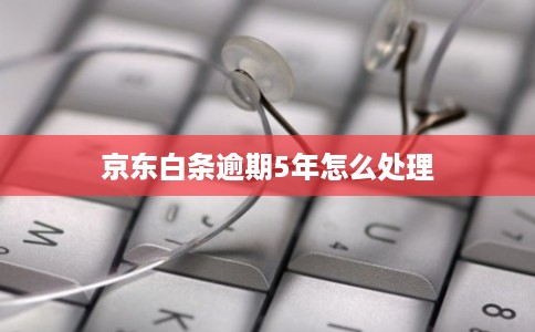 京东白条逾期5年怎么处理