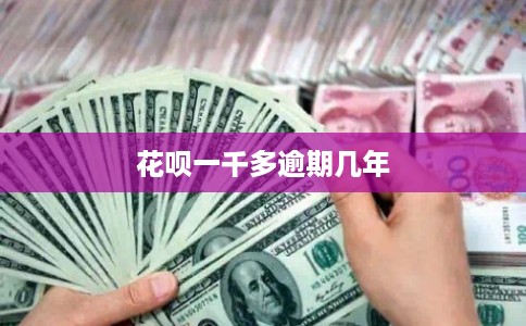 花呗一千多逾期几年