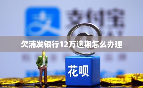 欠浦发银行12万逾期怎么办理