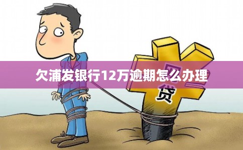 欠浦发银行12万逾期怎么办理