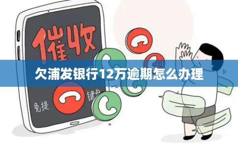 欠浦发银行12万逾期怎么办理