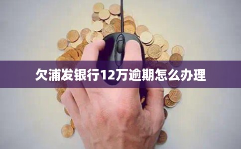 欠浦发银行12万逾期怎么办理