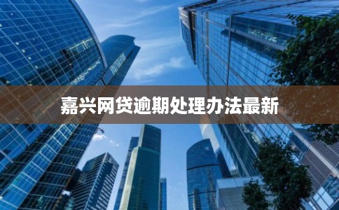 嘉兴网贷逾期处理办法最新