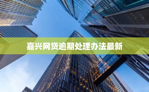 嘉兴网贷逾期处理办法最新