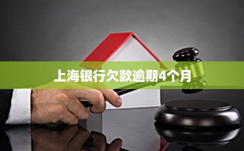 上海银行欠款逾期4个月