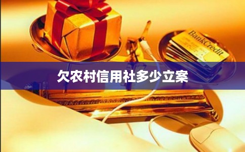 欠农村信用社多少立案