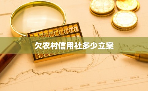 欠农村信用社多少立案