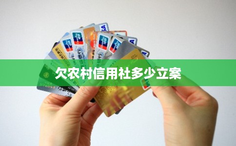 欠农村信用社多少立案