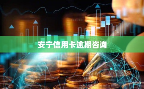 安宁信用卡逾期咨询