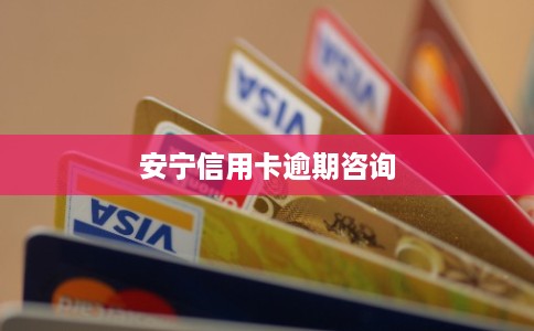 安宁信用卡逾期咨询