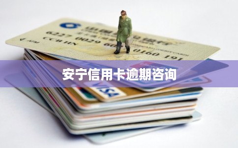 安宁信用卡逾期咨询
