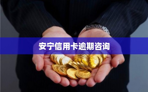 安宁信用卡逾期咨询