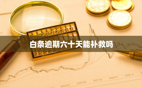 白条逾期六十天能补救吗