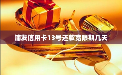 浦发信用卡13号还款宽限期几天