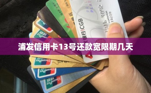 浦发信用卡13号还款宽限期几天