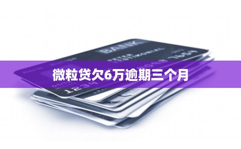 微粒贷欠6万逾期三个月