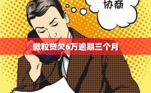 微粒贷欠6万逾期三个月