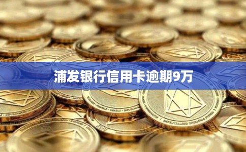 浦发银行信用卡逾期9万 浦发银行信用卡逾期9万