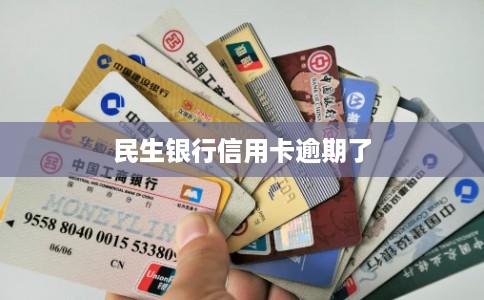 民生银行信用卡逾期了