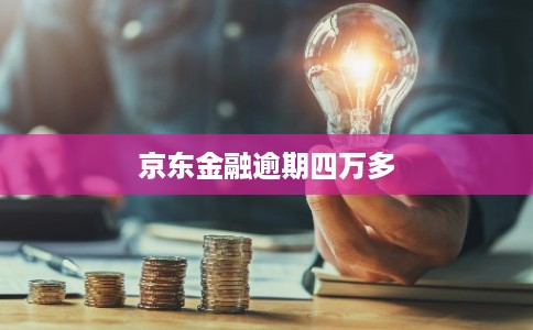 京东金融逾期四万多