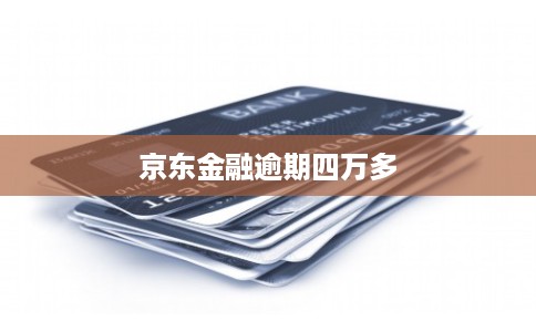 京东金融逾期四万多