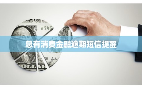 总有消费金融逾期短信提醒