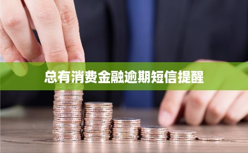 总有消费金融逾期短信提醒