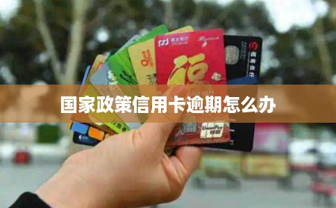 国家政策信用卡逾期怎么办
