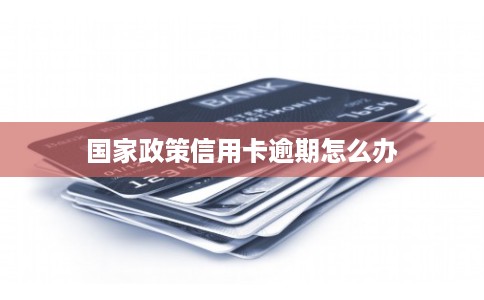 国家政策信用卡逾期怎么办