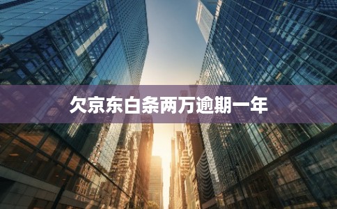 欠京东白条两万逾期一年