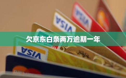 欠京东白条两万逾期一年