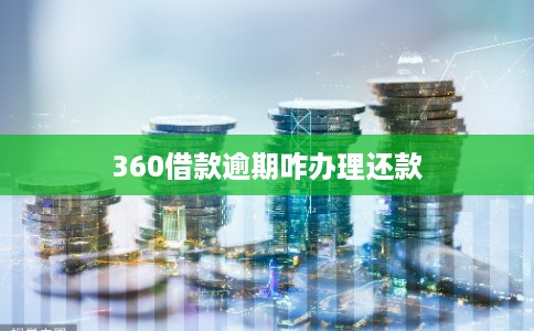 360借款逾期咋办理还款