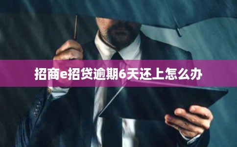 招商e招贷逾期6天还上怎么办