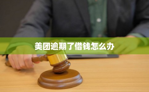 美团逾期了借钱怎么办